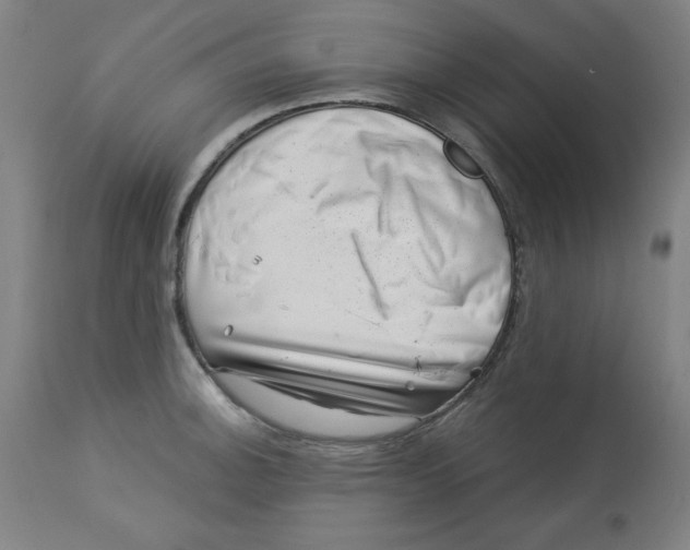 X0000113001140200909171400