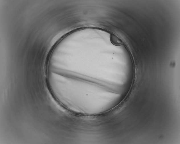 X0000113001141200909171400