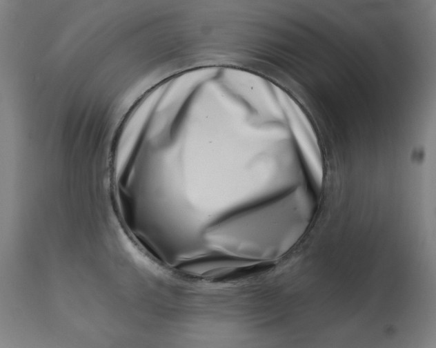 X0000113001143200909171400