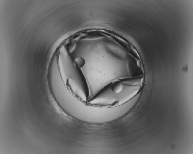 X0000113001144200909171400