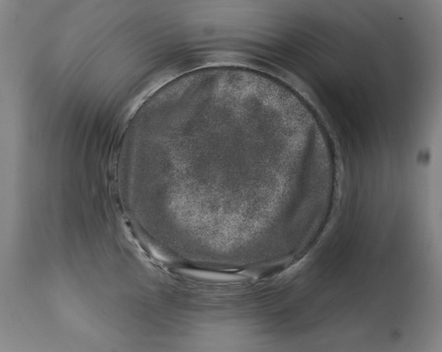 X0000113001145200909171400