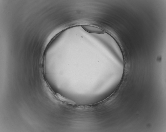 X0000113001146200909171400