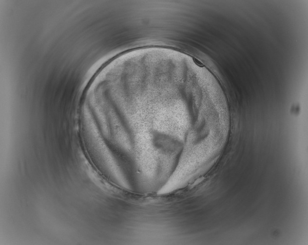 X0000113001148200909171400