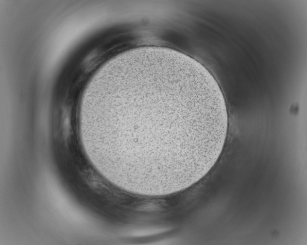 X0000113001150200909171400