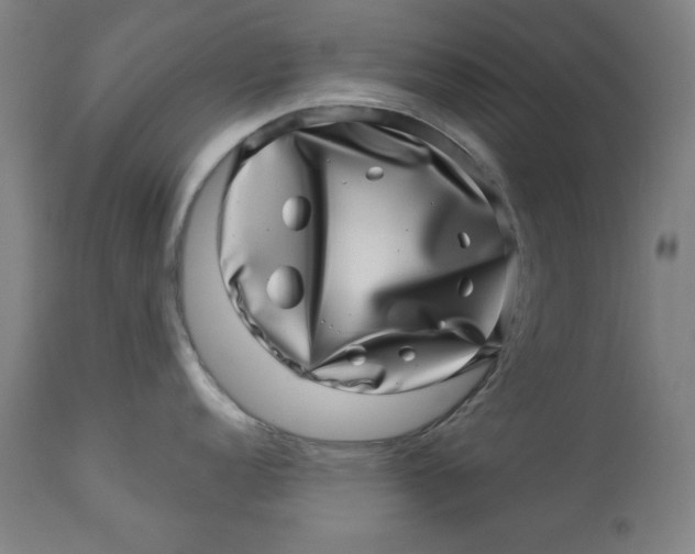 X0000113001152200909171400