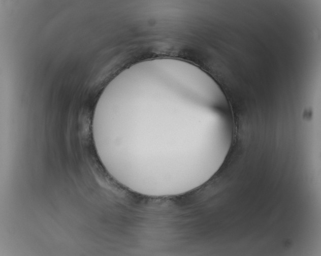 X0000113001154200909171359