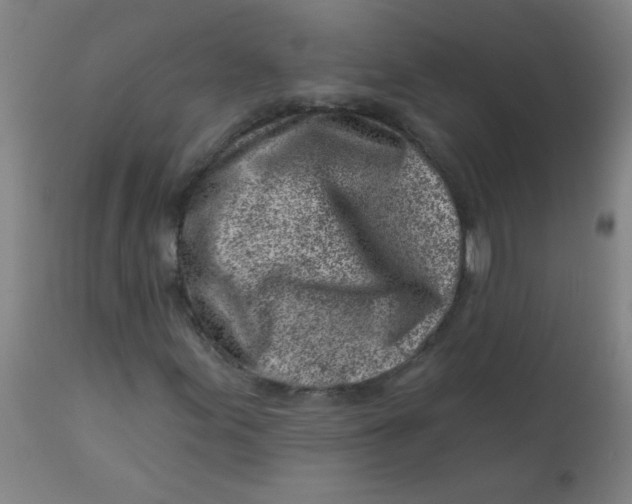 X0000113001155200909171359