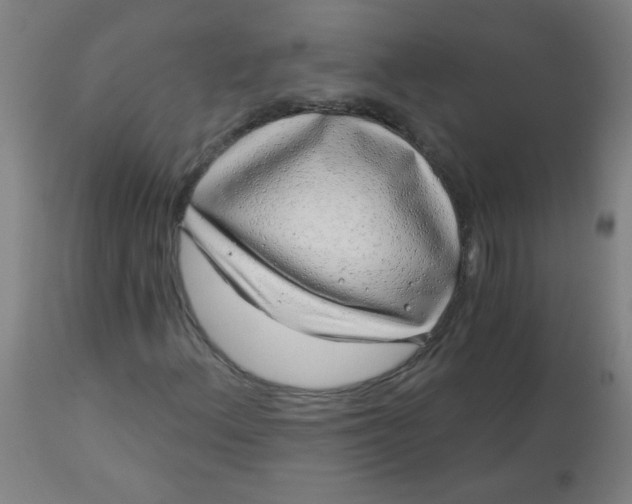 X0000113001156200909171359