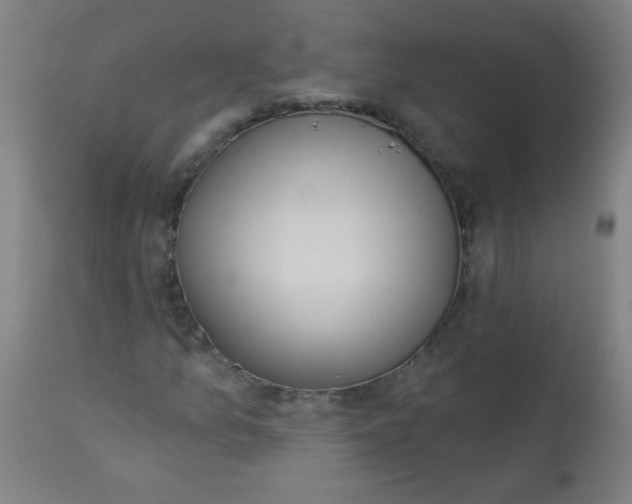 X0000113001157200909171359