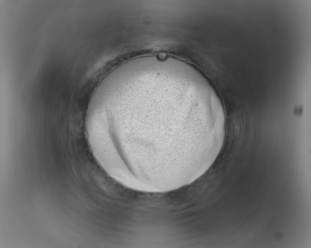 X0000113001158200909171359