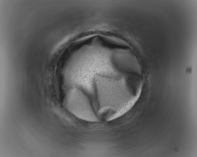 X0000113001159200909171359