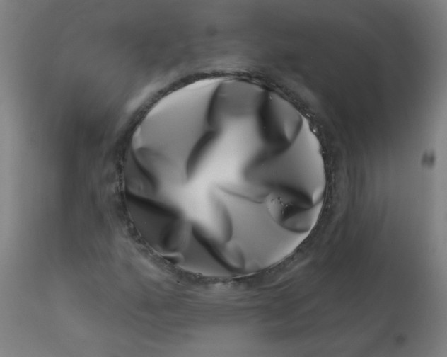 X0000113001160200909171359