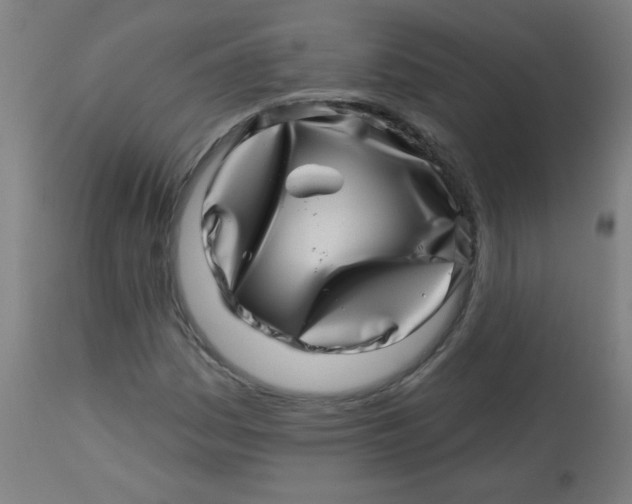 X0000113001161200909171359