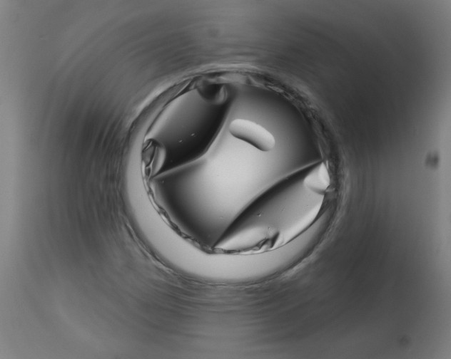 X0000113001162200909171359