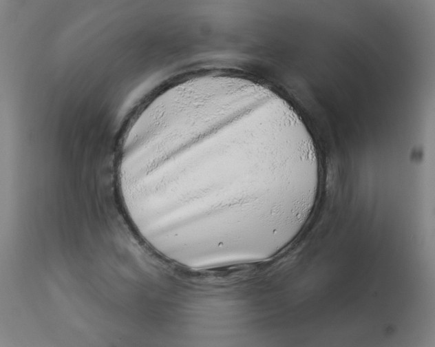 X0000113001164200909171359