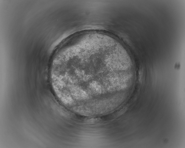 X0000113001165200909171359