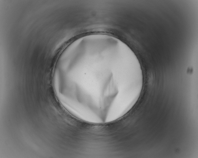 X0000113001166200909171359