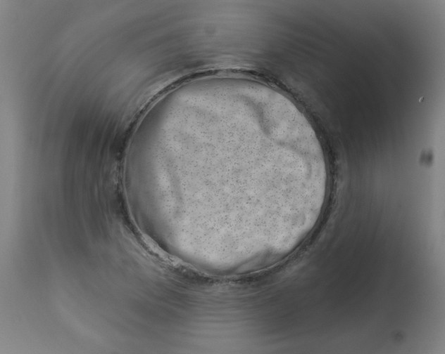 X0000113001169200909171359