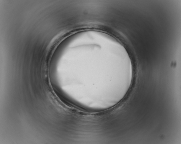 X0000113001172200909171359