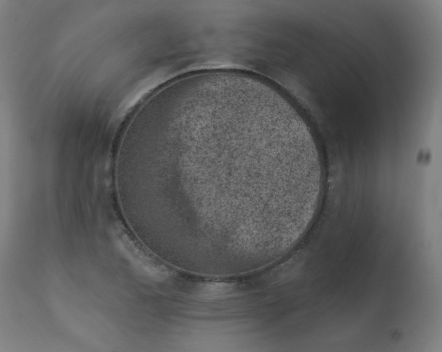 X0000113001173200909171359