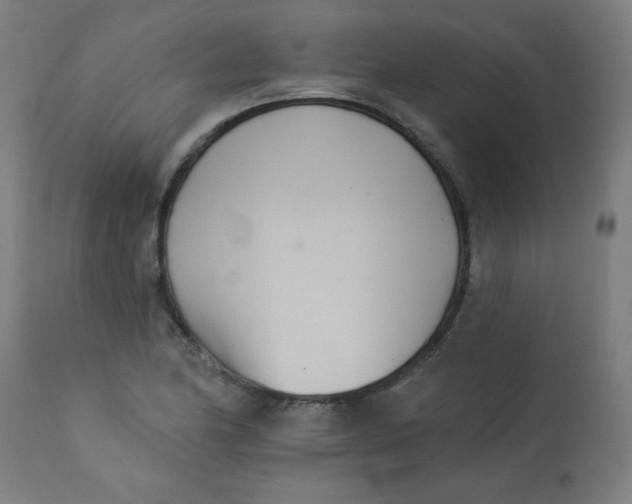 X0000113001174200909171359