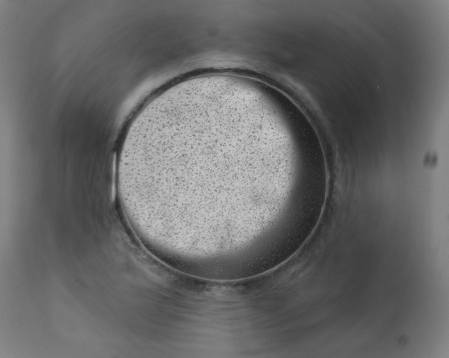 X0000113001175200909171359