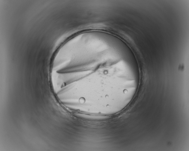 X0000113001176200909171359