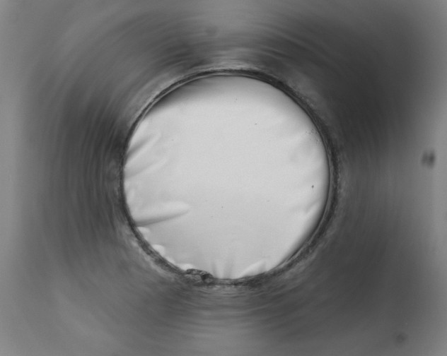 X0000113001177200909171359