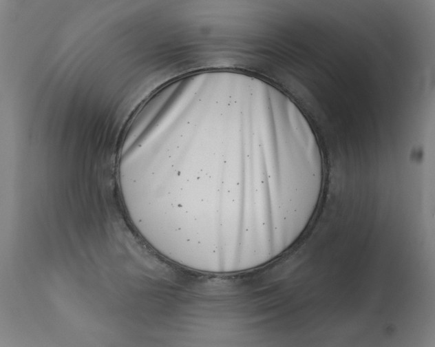 X0000113001178200909171359