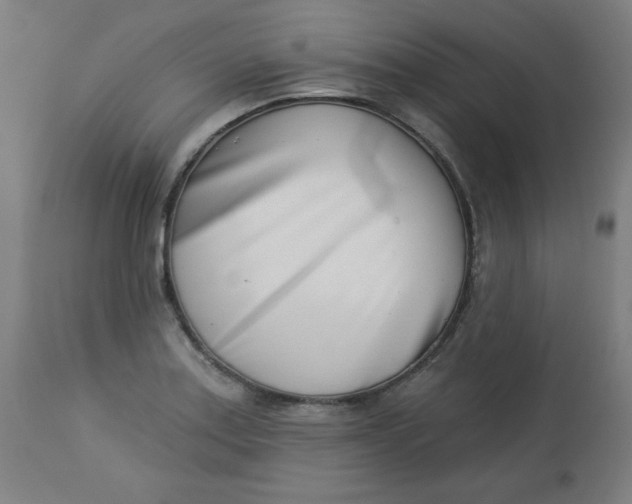 X0000113001179200909171359