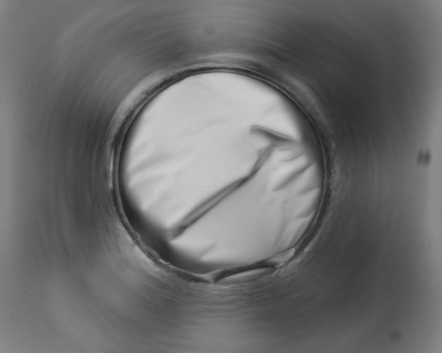 X0000113001180200909171359