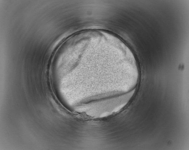 X0000113001181200909171359