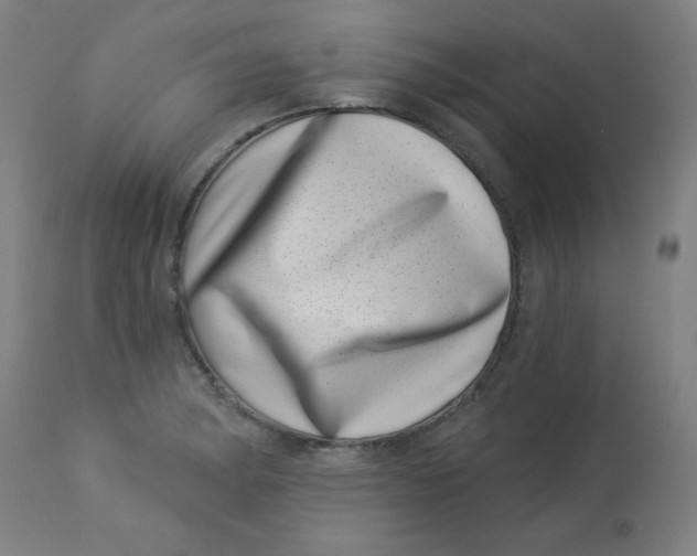 X0000113001182200909171359