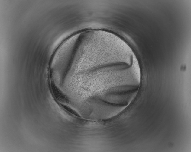 X0000113001183200909171359