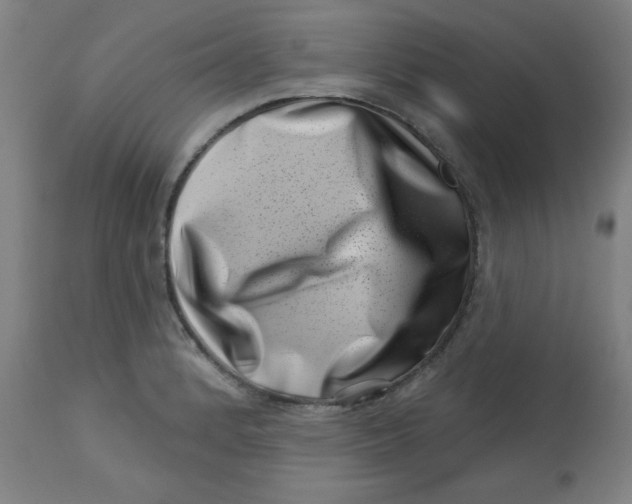 X0000113001184200909171359