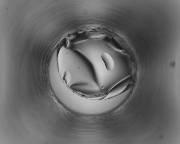 X0000113001185200909171359