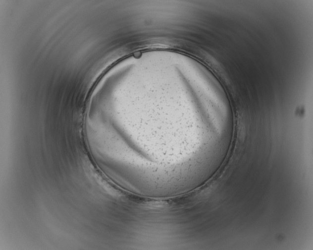 X0000113001186200909171359