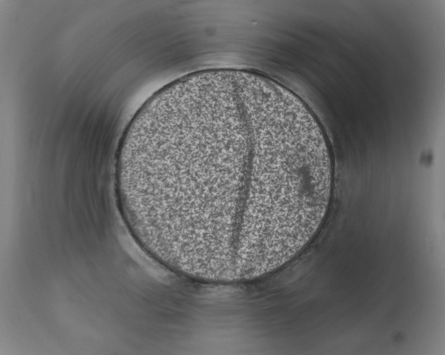 X0000113001187200909171359