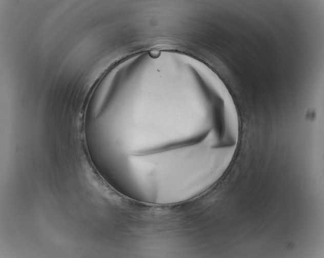 X0000113001190200909171358