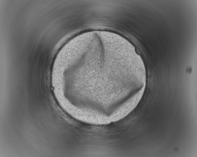 X0000113001191200909171358