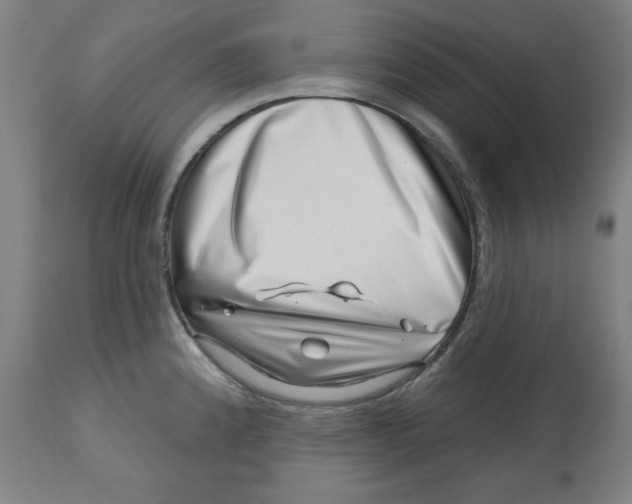 X0000113001192200909171358