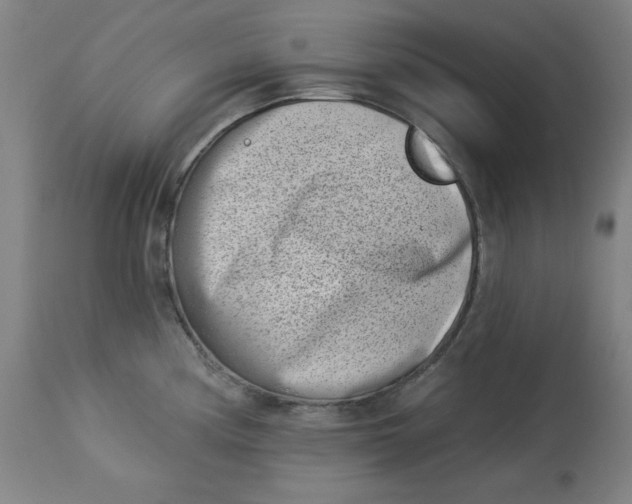 X0000113001194200909171358