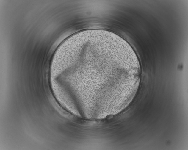 X0000113001195200909171358