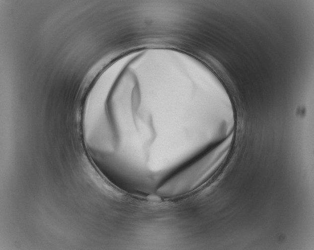 X0000113001196200909171358