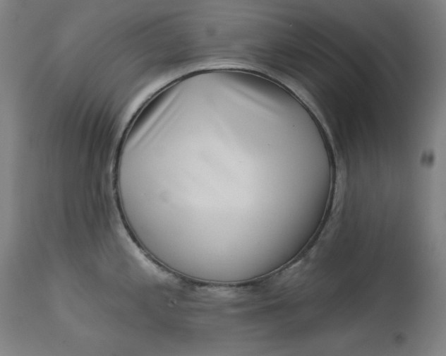 X0000113001197200909171358