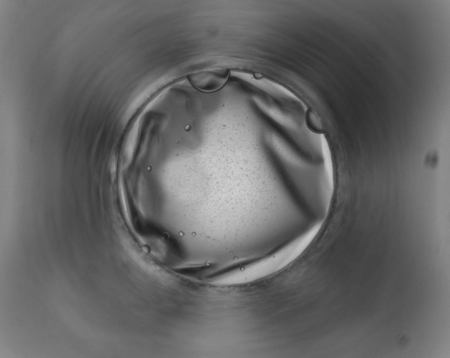 X0000113001198200909171358