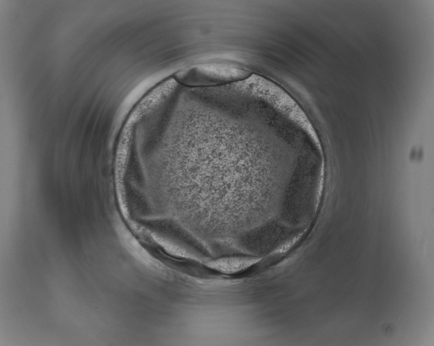 X0000113001200200909171358