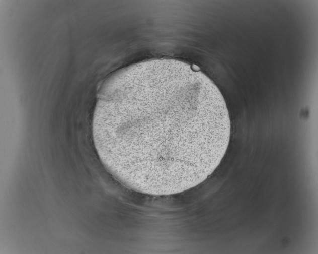 X0000113001201200909171358