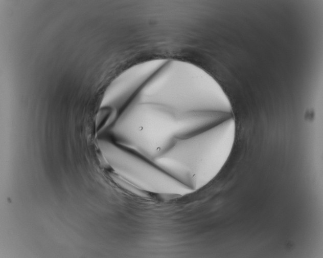 X0000113001202200909171358