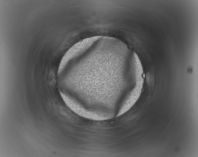 X0000113001203200909171358